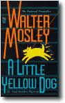  A Little Yellow Dog