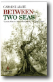 BETWEEN TWO SEAS by Carmen Abate